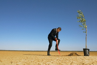  Replant The Trees You Use!