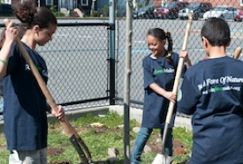 Dudley Street Neighborhood Charter School Planting