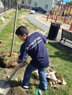 Boy Planting Trees