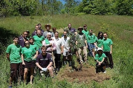 Hyde Park Apple Orchard Planting