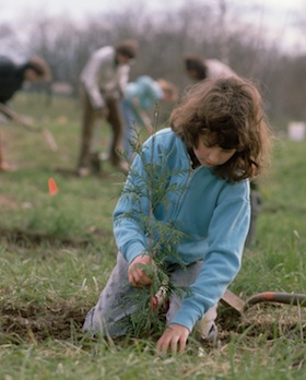 Become a RainforestMaker Plant Trees Today